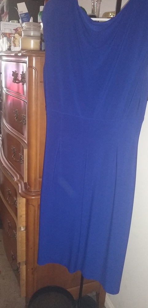 Navy blue Ralph Lauren dress --from TJMAXX